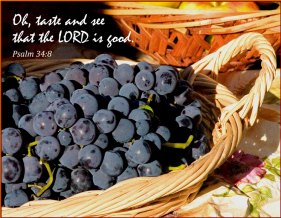 “Oh, taste and see that the Lord is good; Blessed is the man who trusts in Him.” Psalm 34:8 (source: http://hilldaleworship.blogspot.com.au/2012/02/150-days-of-psalms-psalm-34.html)